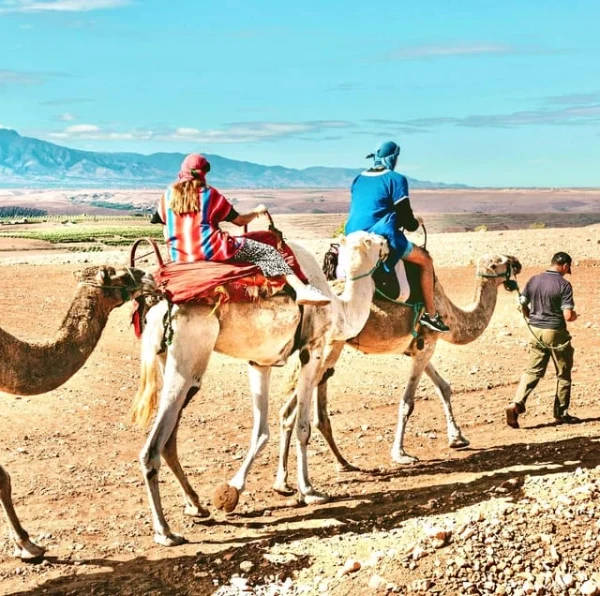 Agafay Desert Quad solo and camel ride with dinner show - Atlas Tifawine Safari
