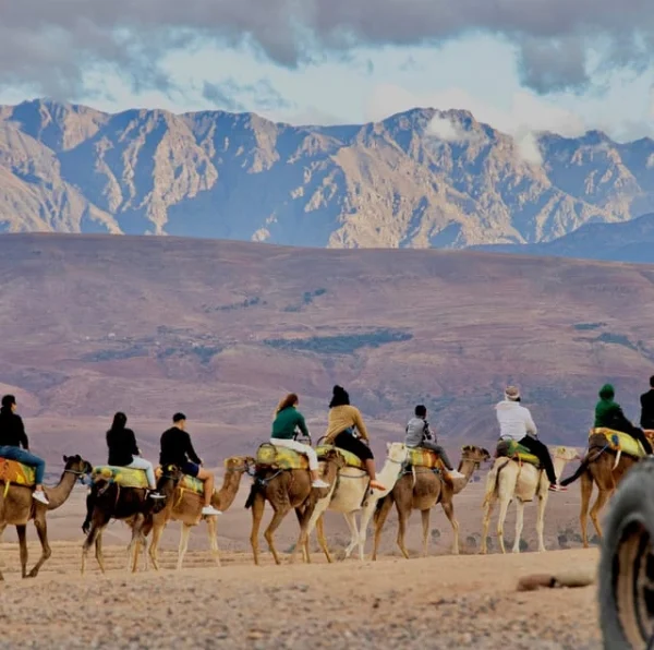 Agafay Desert Quad solo and camel ride with dinner show - Atlas Tifawine Safari
