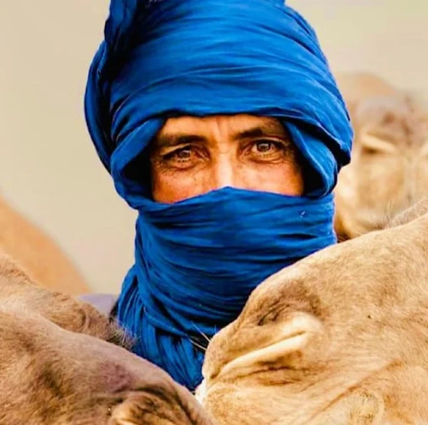 Marrakech Live dinner in the Agafay desert, sunset and camel ride - Atlas Tifawine Safari