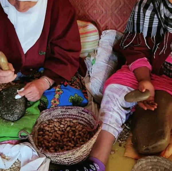 Marrakech Day trip to the Ourika Valley with guided hike and lunch - Atlas Tifawine Safari