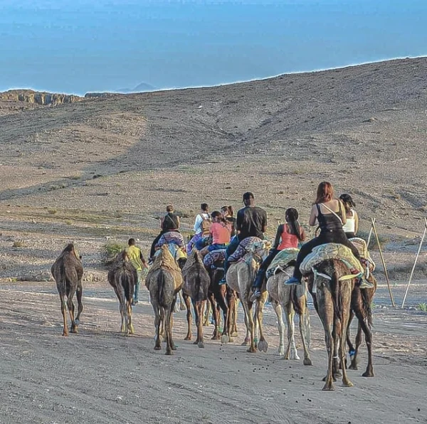 Marrakech Live dinner in the Agafay desert, sunset and camel ride - Atlas Tifawine Safari