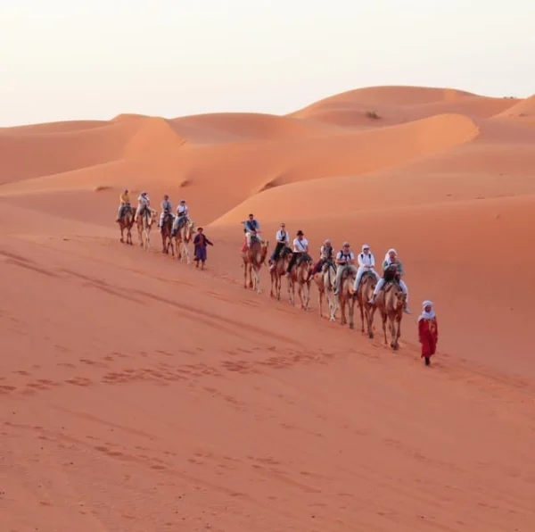 From Marrakech to Merzouga - 3-day desert safari with meals - Atlas Tifawine Safari
