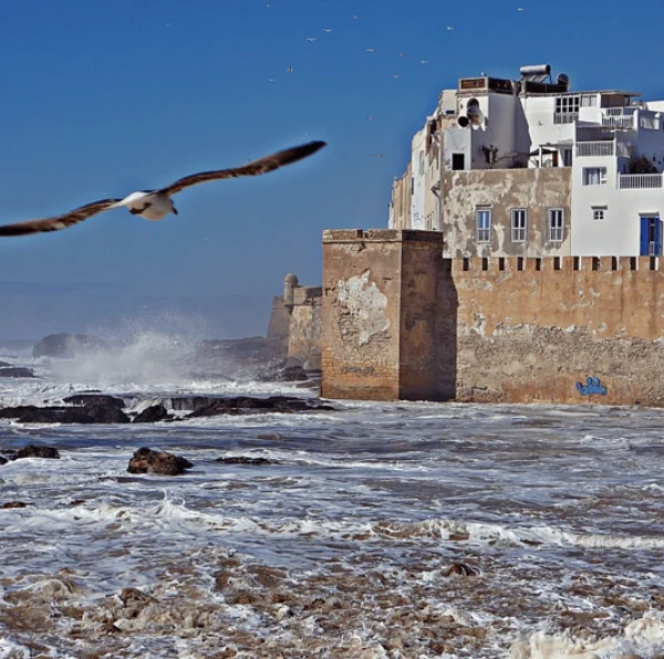 From Marrakech_ Day trip to Essaouira - Atlas Tifawine Safari