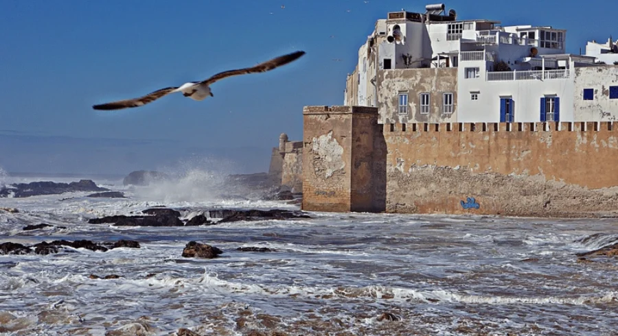 From Marrakech_ Day trip to Essaouira - Atlas Tifawine Safari