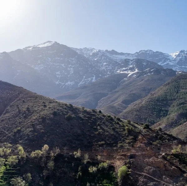 Tedli Summit Atlas Mountains Day Hike and Berber Culture - Atlas Tifawine Safari